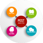 PEST Analysis